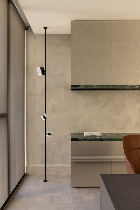 Spring Street Residence